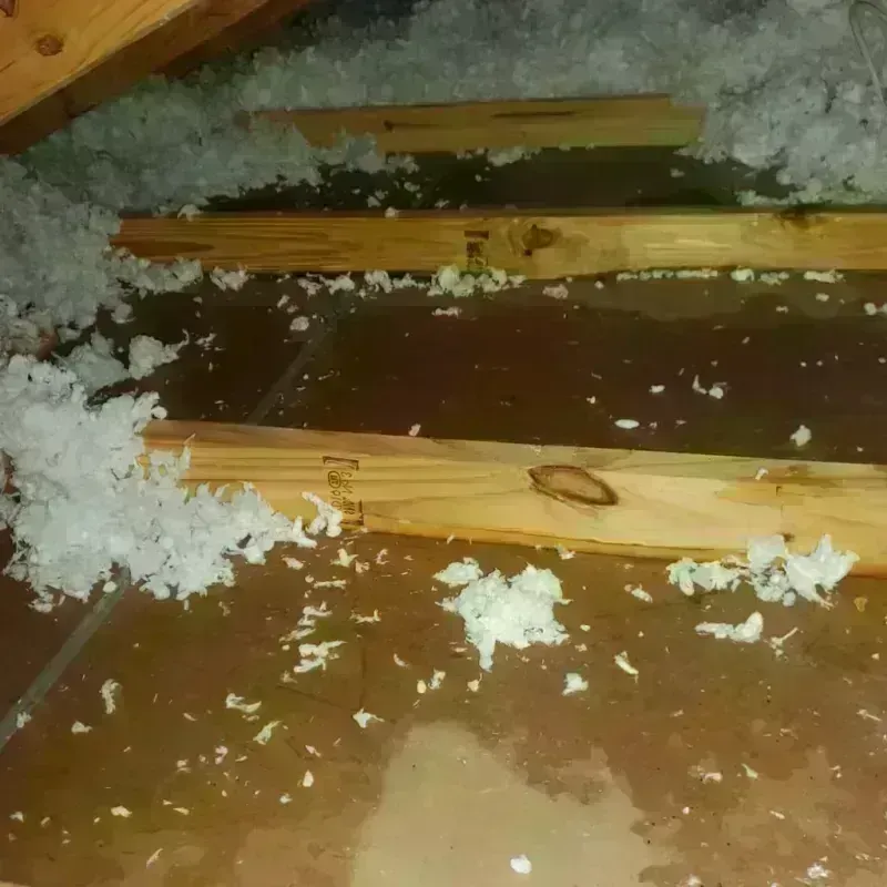 Attic Water Damage in Caldwell County, TX